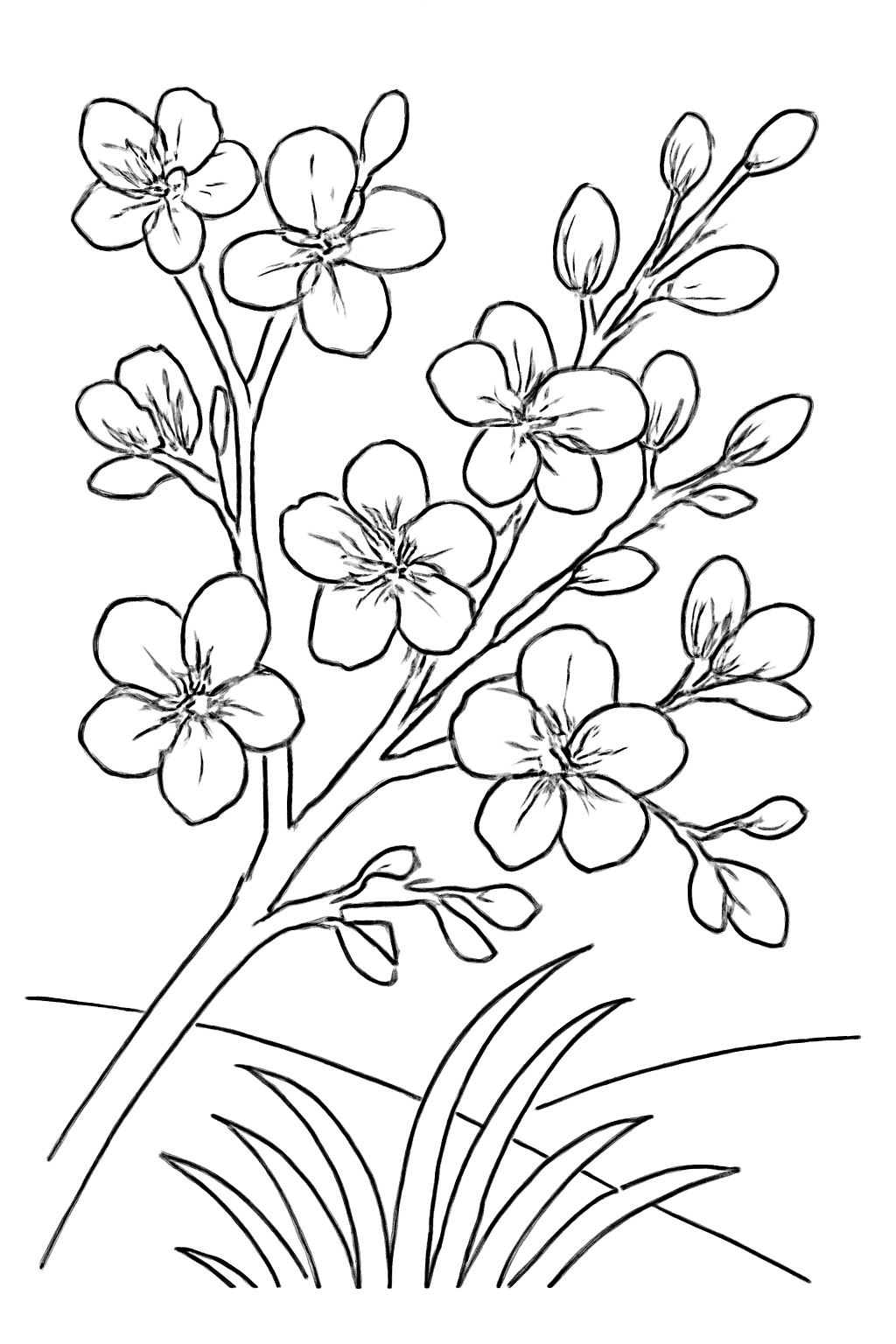 Free printable blossoming almond tree for Nowruz spring coloring page for kids