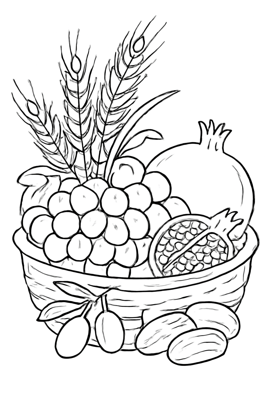 Free printable basket of wheat grapes figs pomegranates olives and dates for Shavuot coloring page for kids
